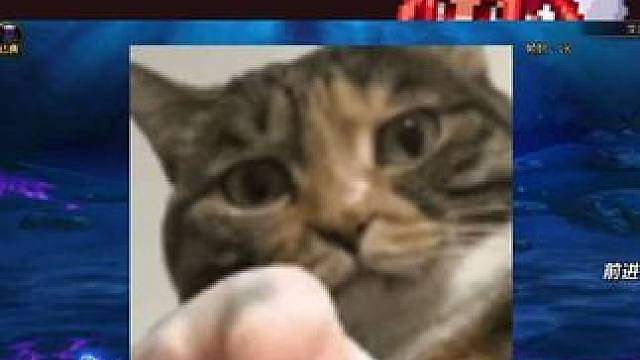 什么叫用这补丁80岁大爷都能过3阶段末世录？侮辱人你小子！