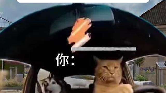 当你18年开车经过p城