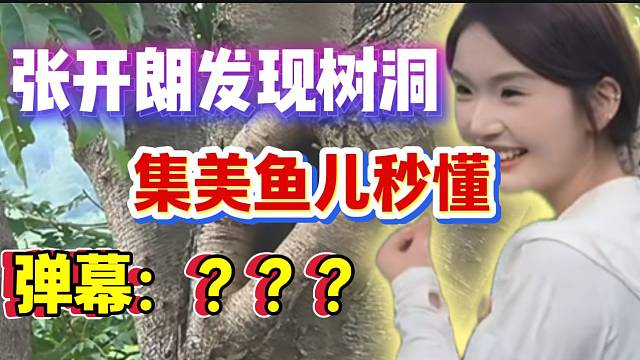 张开朗发现树洞！集美鱼儿秒懂逗笑全场！