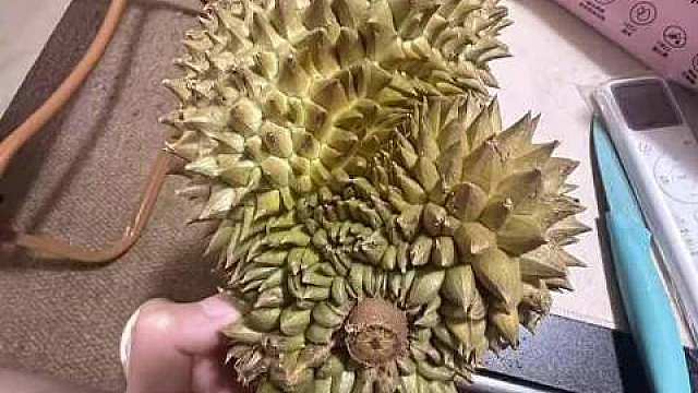 60元网购了雷霆果型榴莲