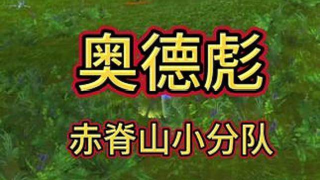 奥德彪！