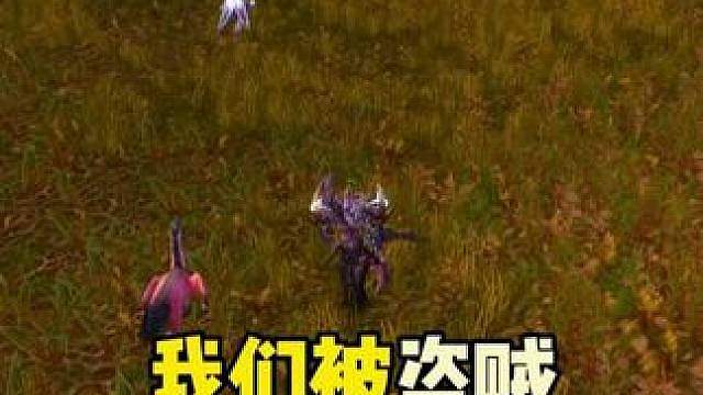 我们被盗贼和骑士包围了 魔兽世界PVP攻略