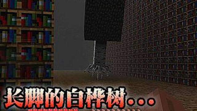来自另外世界的白桦树，被困住的玩家