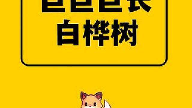我的世界：我在MC里发现了一根超长的巨巨巨巨无霸白桦树！
