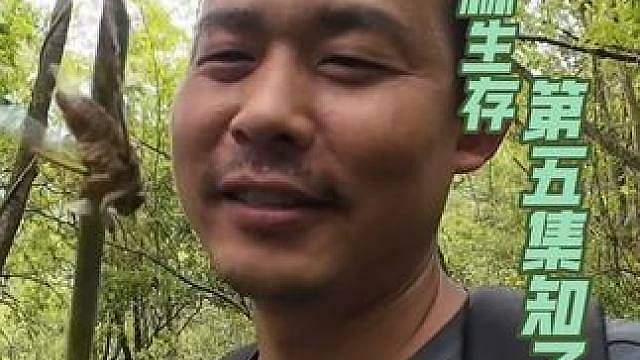 丛林生存第五集： 这个季节的丛林知了是不可多得的美味蛋白质#