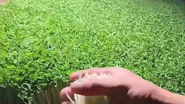 这就是现实的生活 这就是现实的生活