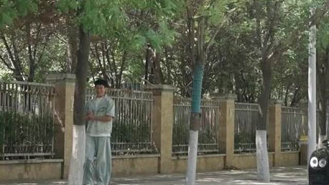 秦晓柔豪车接驾请李凡鉴宝，昔日校花低头求助，傻子身份惊天反转