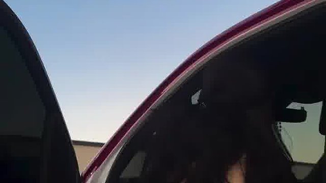 这车真大