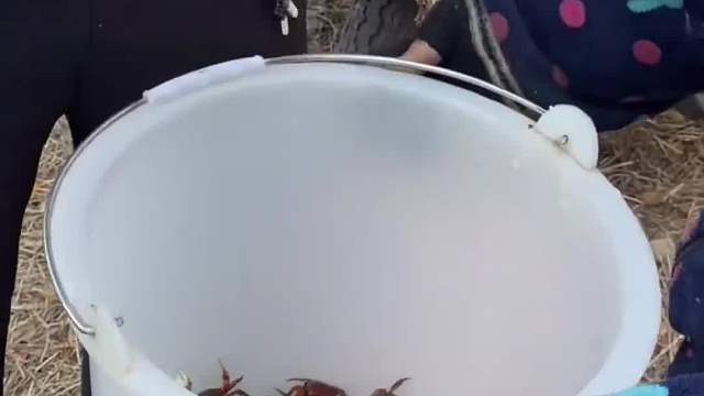 关系更进一步才好下一步