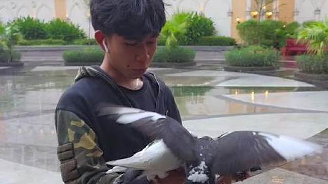 你和我所在的菲律宾怎么不一样？ 外国人真的没有生活在贫民窟的