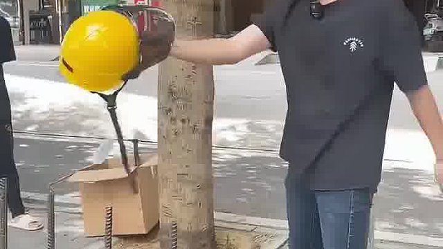 现在做生意都这么卷了