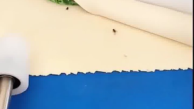 做包子流水线