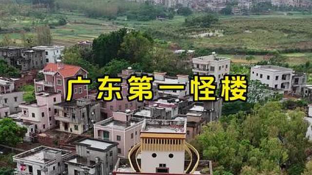 广东小伙风光返乡建房，万万没想到建成这个模样
