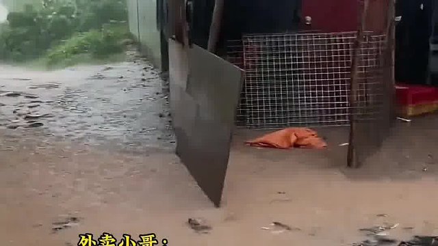 见狗狗连续三天被拴着淋雨，外卖小哥众筹1200元将狗买下！