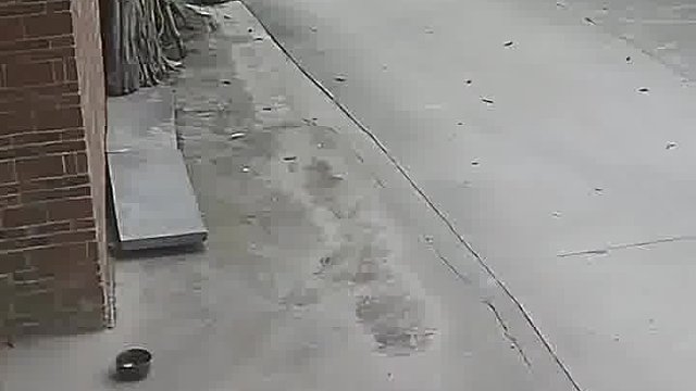小孩子见有大车来，赶紧跑进家！