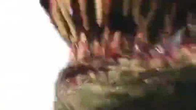 如果这玩意儿真的存在