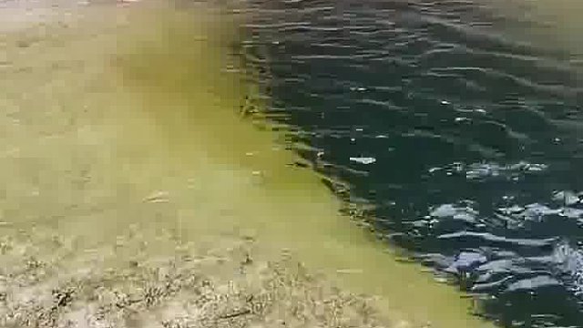 水深则绿，水黑则渊
