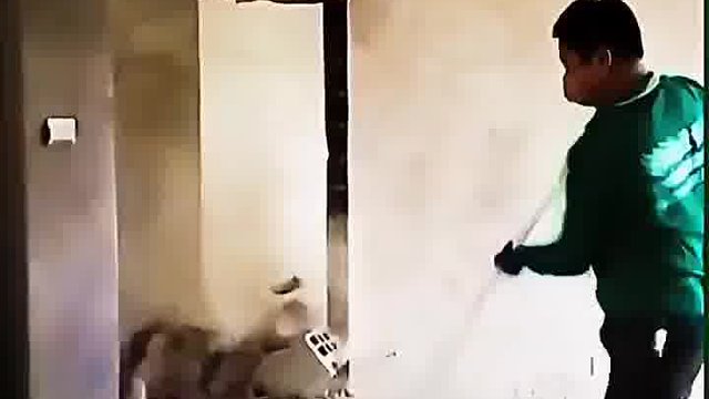 一锤定八十，今天要发了