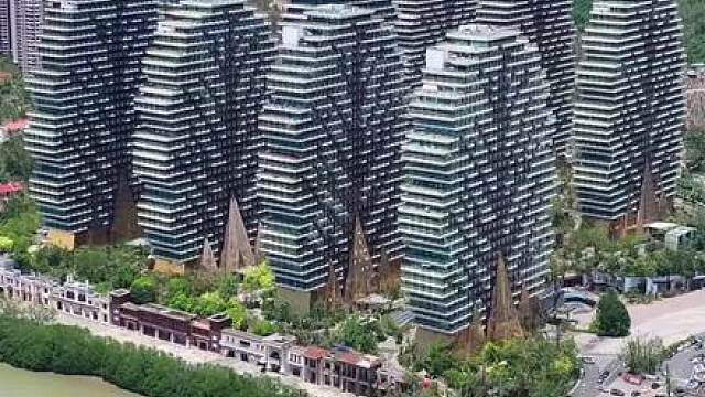这就是全球最奢华的9棵大树，曾经举办过6次世界小姐总决赛而闻名世界