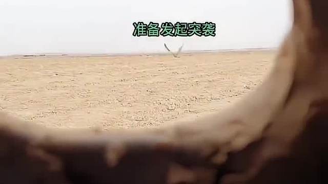 后悔也已经晚了