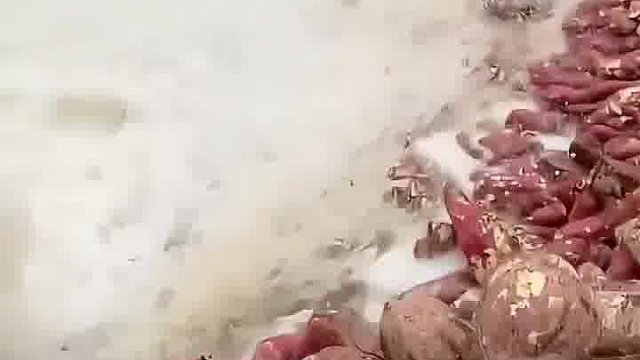 如此清洗的红薯