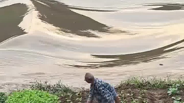 这地越种越小了！