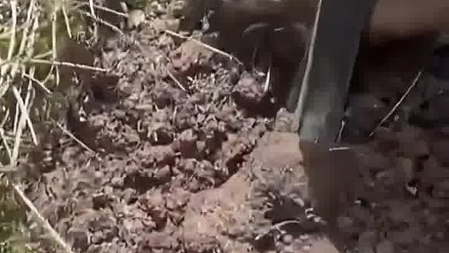 这是精华中的精华