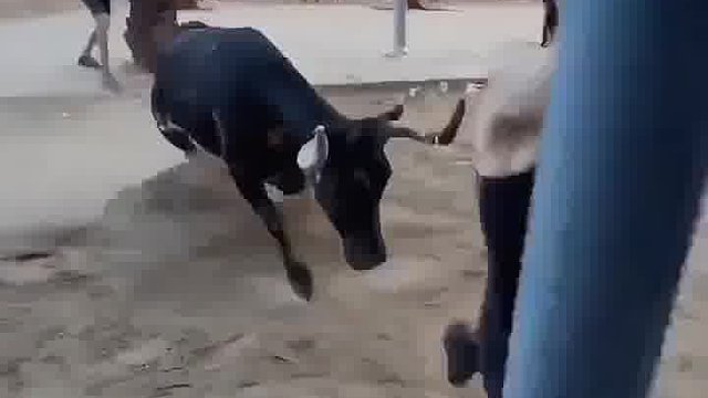真的进去了