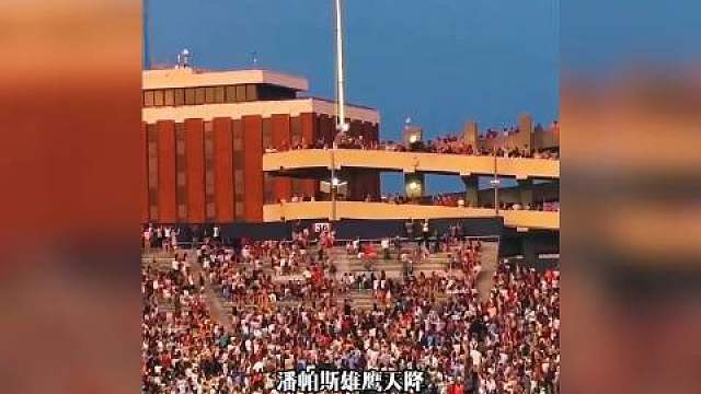 阿根廷vs冰岛热身赛开踢前，一只雄鹰凌空翱翔，全场屏息——仪式感瞬间爆棚，精准致敬“潘帕斯雄鹰”！
