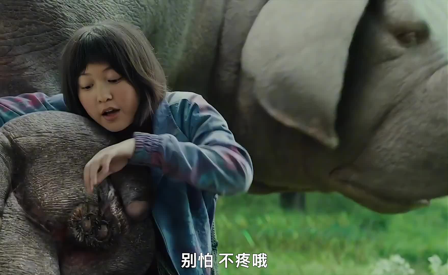 会炸鱼的超级猪：“你救我一命，我定护你一生”！