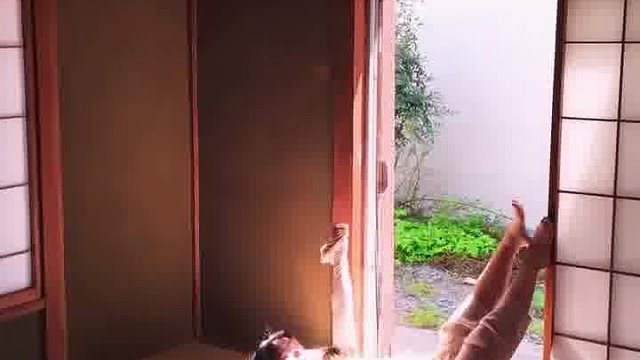 圣光普照