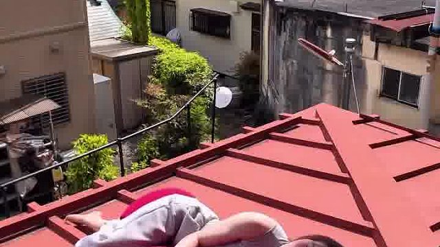暖阳