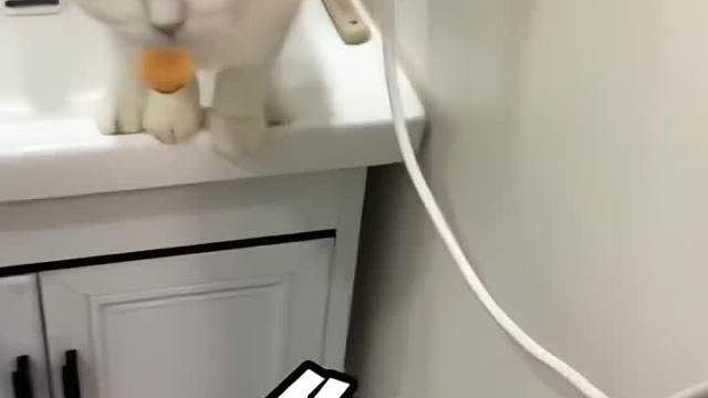 女孩子在外合租真的很危险