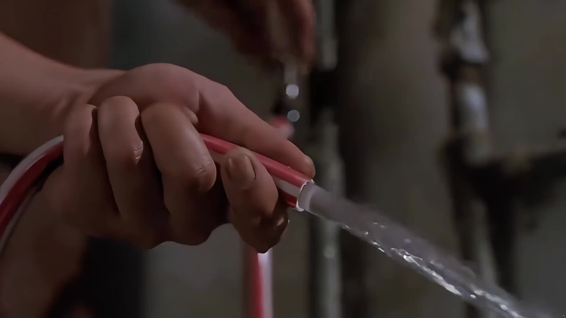 借种