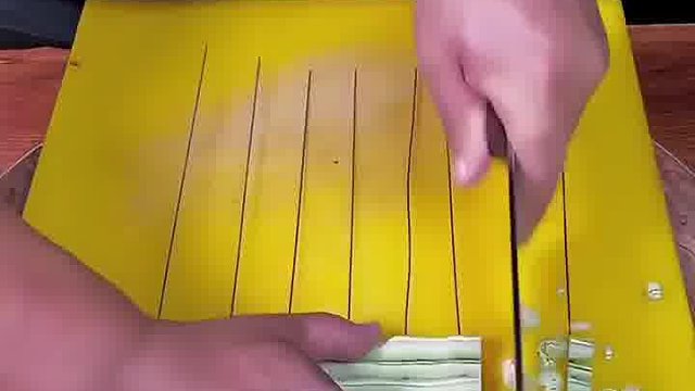 扔的那些有点浪费了吧