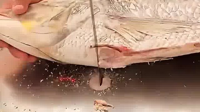 怪不得买的鱼块这么整齐呢，原来是电锯切的