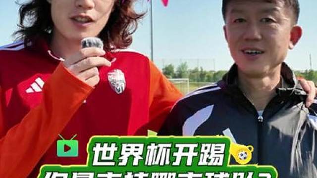 世界杯即将开踢，你最支持哪支球队？