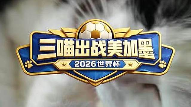 三喵出战美加墨·墨西哥vs南非 你是支持小笼包还是小花卷呢？