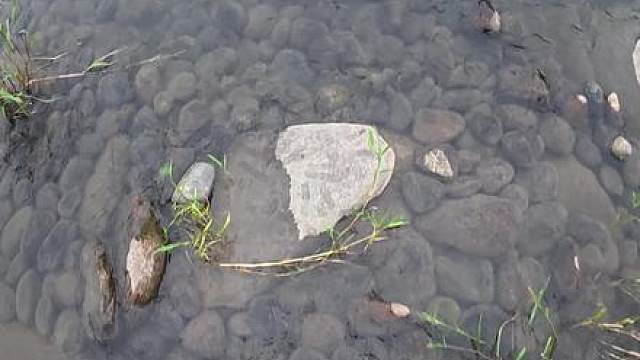 西瓜被冲走，别担心有我在