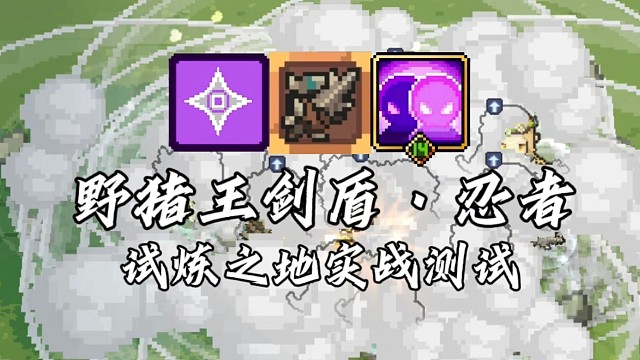 【元气骑士前传】野猪王剑盾·忍者 试炼之地实战测试