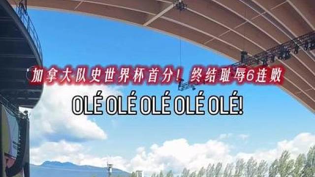 加拿大1-1波黑 拿到世界杯首分 加拿大球迷陷入疯狂