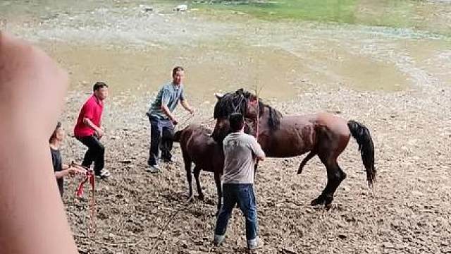 梅西6到飞起