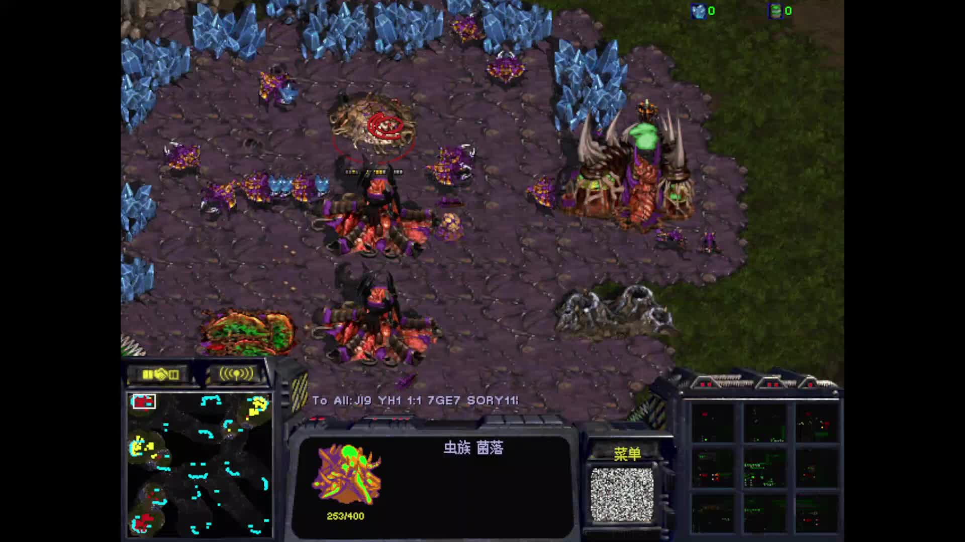 星际争霸7GE SORY 攻擂5