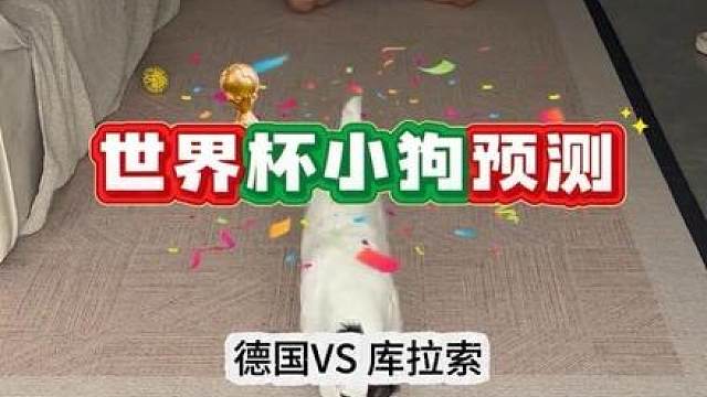 不信邪的德国怒测两遍