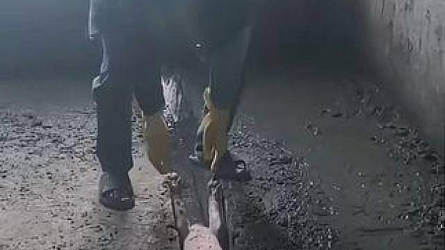 本想着饿两天就能自己出来 本想着饿两天就能自己出来
