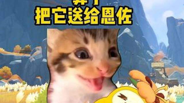 当我发现菊花梨是萌系