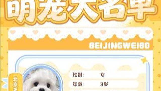 【北京WB夏季赛萌宠大名单】 「汪星护卫队」
北京WB.Yuki
北京WB.椰果
北京WB.Kiri