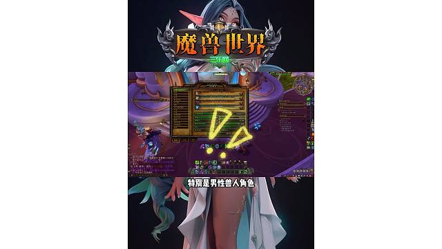 魔兽世界 玩具