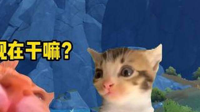 不同人刷异色的态度
