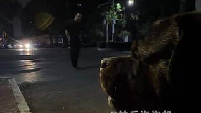 大哥:这么年轻，不应该啊......... cr：墩妈和罗威纳